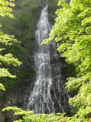 20100614-4.jpg