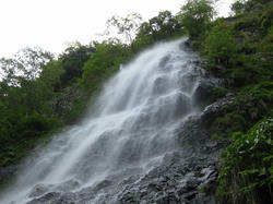 20100614-5.jpg