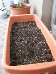 20100919-4.jpg