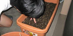 20100921.jpg