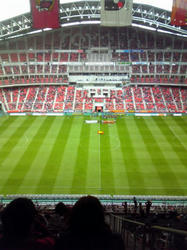 20101101.jpg