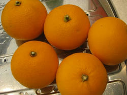 20110110.jpg