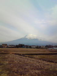 201101151536001.jpg