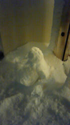 201101161831000.jpg