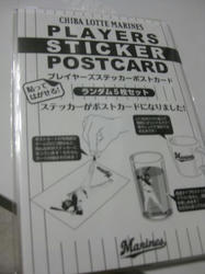 20110129.jpg