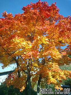 101106_1013~0002.jpg