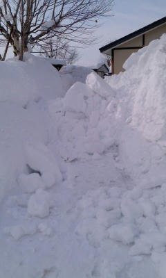 120206_1405~01.jpg