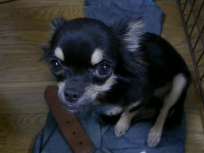 IMGP2886.JPG