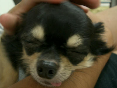 IMGP2971.JPG