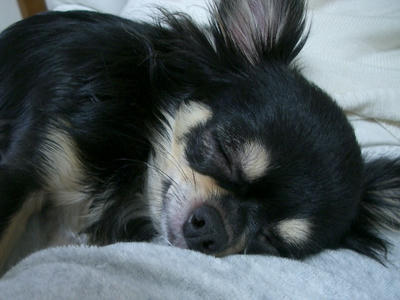 IMGP3025.JPG