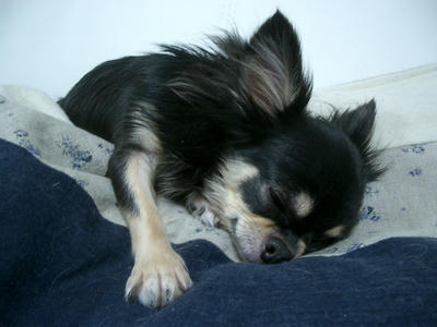 IMGP3232.JPG