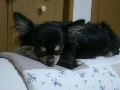 IMGP3340.JPG