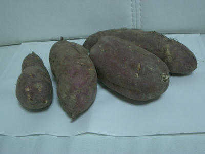 IMGP3490.JPG