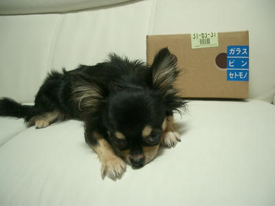 IMGP3674.JPG