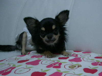 IMGP3678.JPG