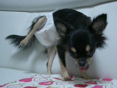 IMGP3681.JPG