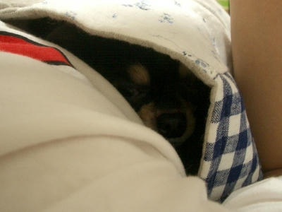 IMGP3803.JPG
