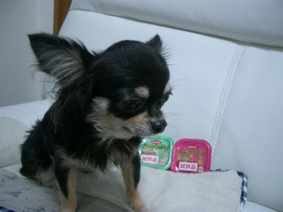IMGP3818.JPG