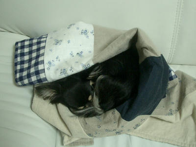 IMGP3840.JPG