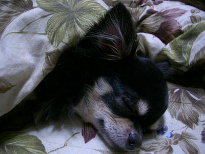 IMGP4066.JPG