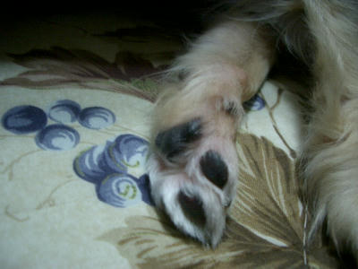 IMGP4068.JPG