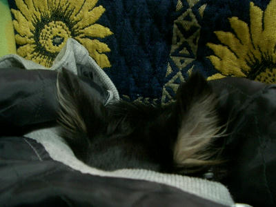 IMGP4090.JPG