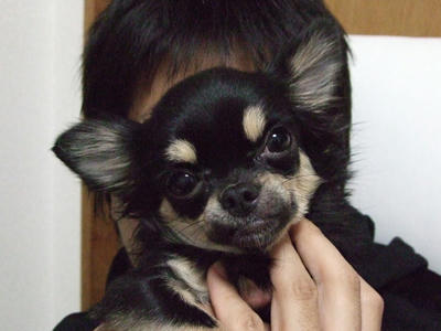 BLOG2007_12160017.JPG