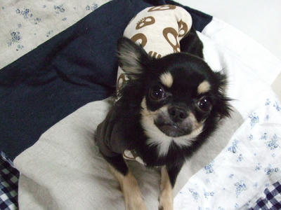 BLOG2007_12160023.JPG