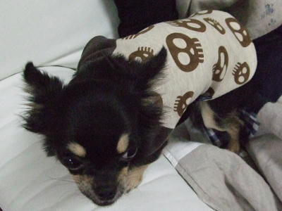 BLOG2007_12160024.JPG