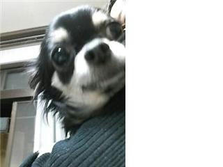 2007.12.19-2.jpg