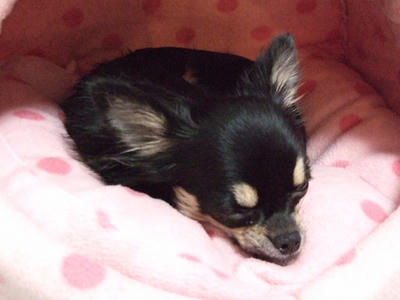 BLOG2007_12230040.JPG