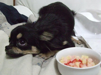 BLOG2007_12250023.JPG