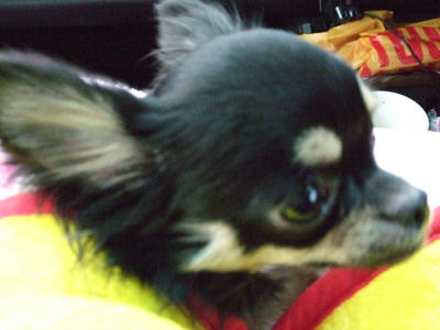 BLOG2008_01040108.JPG