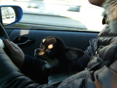BLOG2008_01040109.JPG
