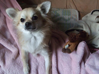 BLOG2008_01040111.JPG