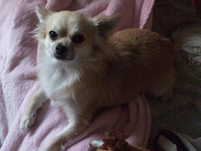 BLOG2008_01040112.JPG
