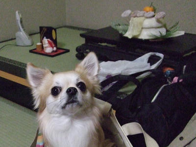 BLOG2008_01040128.JPG
