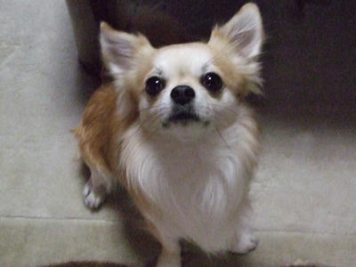 BLOG2008_01040129.JPG