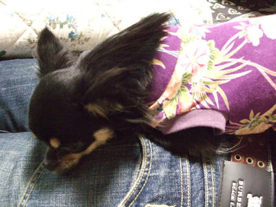 BLOG2008_01040131.JPG
