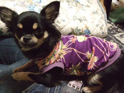 BLOG2008_01040132.JPG