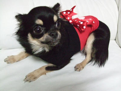 BLOG2008_01160022.JPG