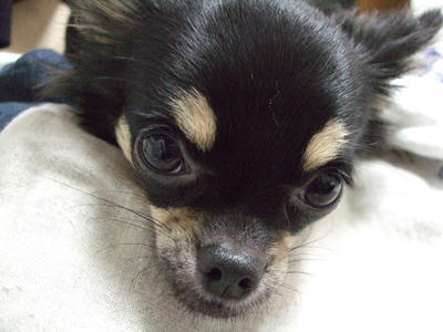 BLOG2008_01160027.JPG