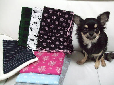 BLOG2008_01180006.JPG