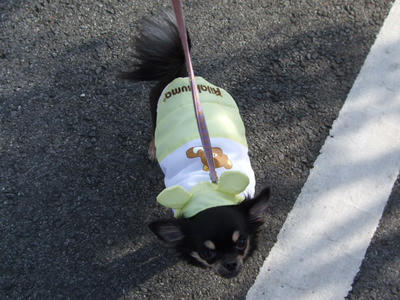 BLOG2008_01190013.JPG