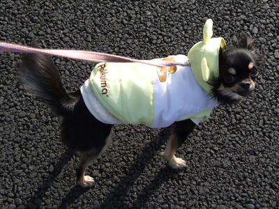 BLOG2008_01190014.JPG