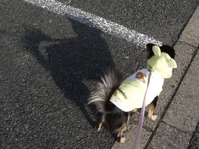 BLOG2008_01190015.JPG