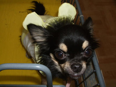 BLOG2008_01190016.JPG