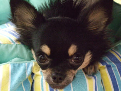 BLOG2008_01200015.JPG