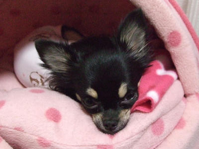 BLOG2008_01280024.JPG