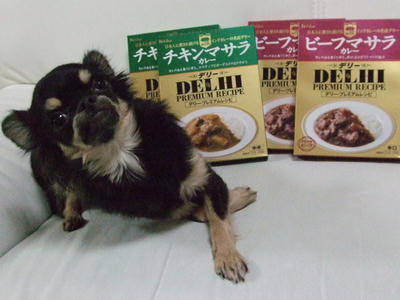 BLOG2008_02020023.JPG